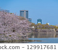 大阪城公園的櫻花和池塘 129917681