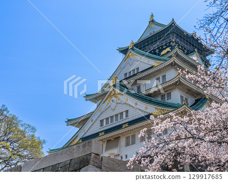 大阪城塔、櫻花和藍天 129917685