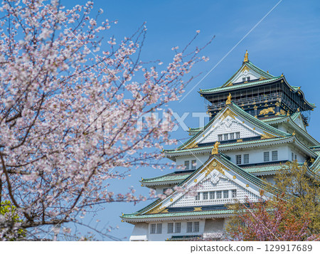 大阪城、櫻花和藍天 129917689