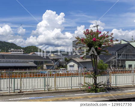 A view of a station with blooming crape myrtle flowers and cumulonimbus clouds 129917730