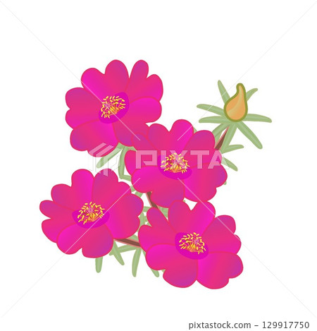 Illustration of a pine needle button 129917750