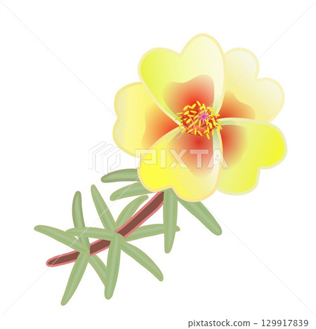 Illustration of a pine needle button Illustration of a pine needle button 129917839