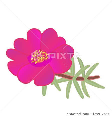 Illustration of a pine needle button Illustration of a pine needle button 129917854