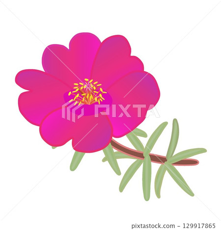 Illustration of a pine needle button Illustration of a pine needle button 129917865