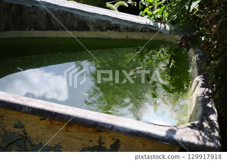 Green water outdoors 129917918