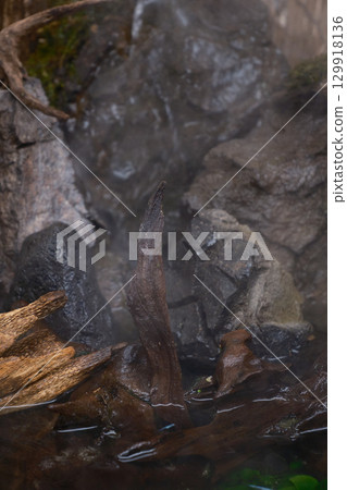 酷炫的玻璃容器 129918136