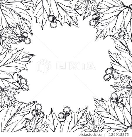 A square frame made of leaves of viburnum shrubs, viburnum berries. All objects are hand-drawn in ink and converted into vector. The illustration is suitable for printing on food packaging, cosmetics. A square frame made of leaves of viburnum shrubs, viburnum berries. All objects are hand-drawn in ink and converted into vector. The illustration is suitable for printing on food packaging, cosmetics. 129918275