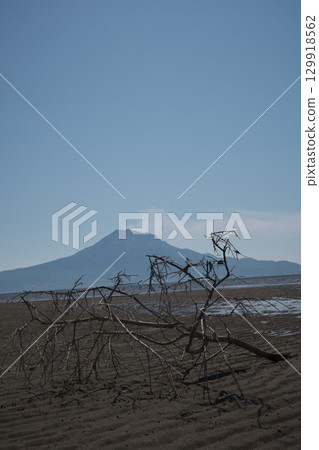 沙灘上的一根大樹枝 沙灘上的一根大樹枝 129918562