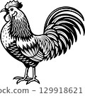 rooster isolated on white background 129918621