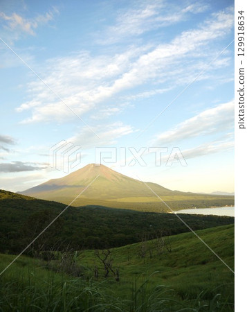Mt. Fuji in the early morning Mt. Fuji in the early morning 129918634