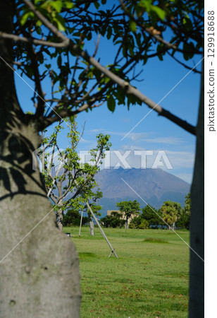 Marine port in the greenery Marine port in the greenery 129918688