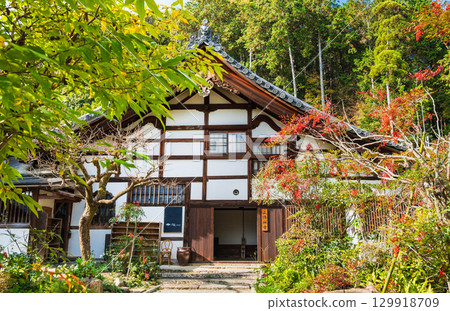 Autumn Kyoto Shodenji Autumn Kyoto Shodenji 129918709