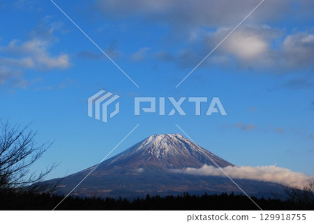 Lake Tanuki的富士山 129918755