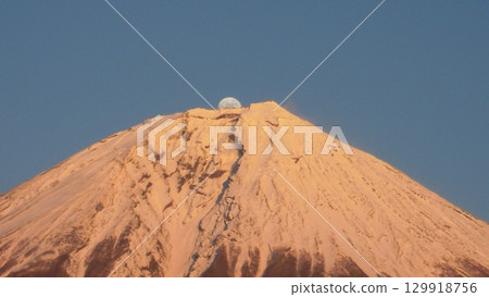 珍珠富士 P.1 129918756