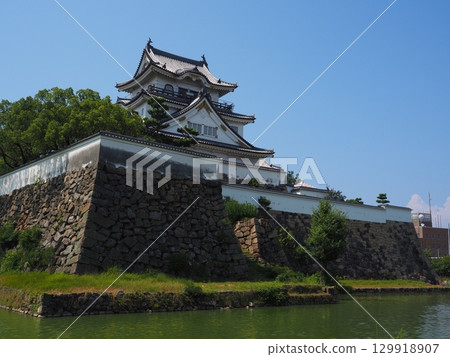 Kishiwada Castle in summer Kishiwada Castle in summer 129918907