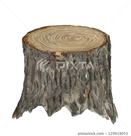 A tree stump, detailed bark and annual rings. Watercolor rustic illustration isolated on white perfect for forest-themed designs, eco projects, fairy tale compositions, children books, woodland A tree stump, detailed bark and annual rings. Watercolor rustic illustration isolated on white perfect for forest-themed designs, eco projects, fairy tale compositions, children books, woodland 129919053