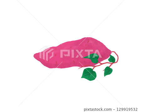 sweet potato with leaves 129919532