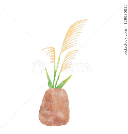 Watercolor illustration of Japanese pampas grass - Full moon night 129920033