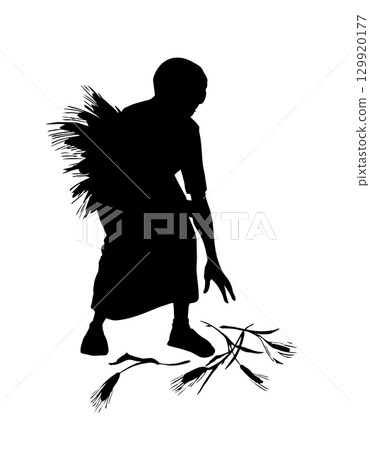 Vector drawing. A woman picks ears in the field 129920177