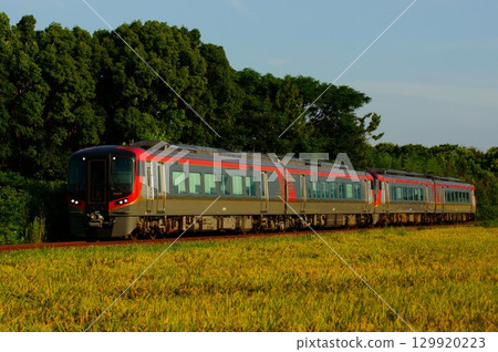 夏末的田園風光－2600系列渦潮特快列車 129920223