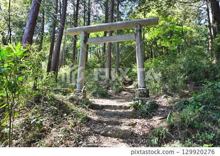 Hachioji Castle in Musashi Province: Current state of the enclosures and other structures Hachioji Castle in Musashi Province: Current state of the enclosures and other structures 129920276