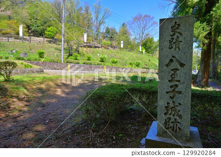 Hachioji Castle in Musashi Province: Current state of the enclosures and other structures Hachioji Castle in Musashi Province: Current state of the enclosures and other structures 129920284