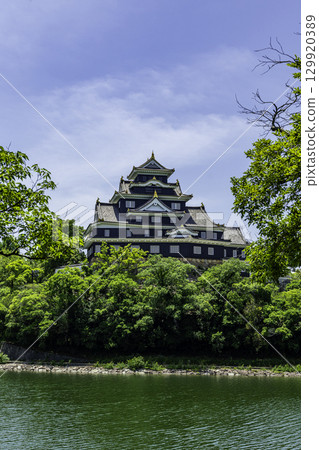 Okayama Castle and Asahikawa River, Okayama City, Okayama Prefecture Okayama Castle and Asahikawa River, Okayama City, Okayama Prefecture 129920389