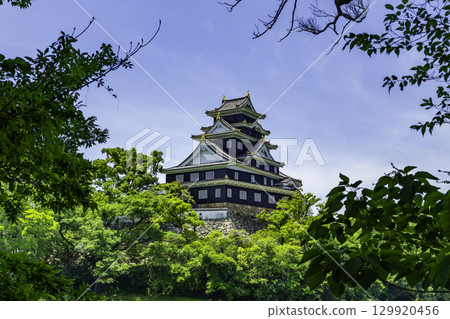 岡山縣岡山市岡山城 129920456