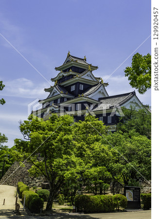 岡山縣岡山市岡山城 129920457