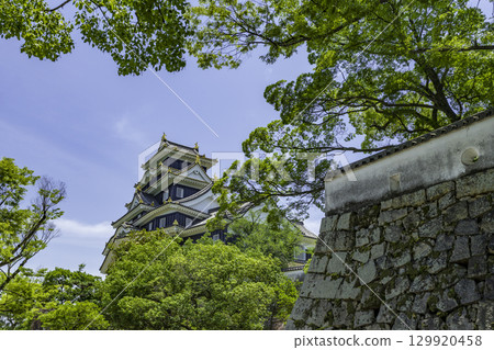 岡山縣岡山市岡山城 岡山縣岡山市岡山城 129920458