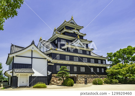 岡山縣岡山市岡山城 129920460