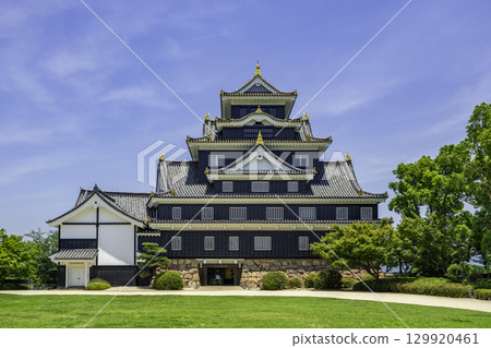 岡山縣岡山市岡山城 岡山縣岡山市岡山城 129920461