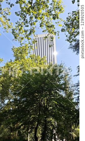 Tall skyscraper shining in the sun seen through dense green foliage of park trees 129920505