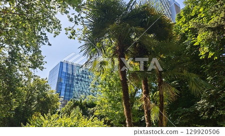 Modern glass building partially hidden behind tropical palm trees and dense park greenery. Concept of eco-urban harmony, modern architecture meeting exotic nature 129920506