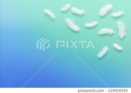 A fluffy white bird feather fluttering against a blue and green gradient background A fluffy white bird feather fluttering against a blue and green gradient background 129920565