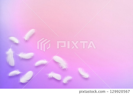 蓬鬆的白色鳥羽在粉紅色漸變背景上飄揚 129920567