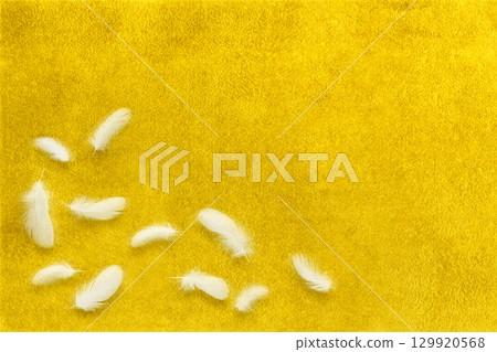 White bird feathers fluttering against a gold leaf background 129920568