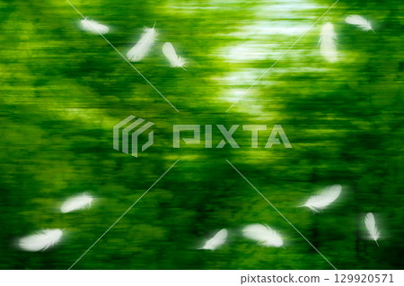 白色的鳥羽在流動的綠葉背景下飛舞 129920571