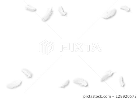 11 white bird feathers with shadow cutouts 129920572