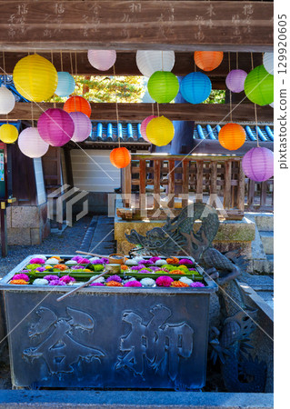 Yokokuji Temple - Flower-shaped water basin and main hall 129920605