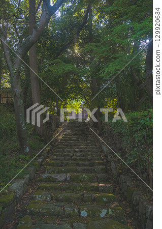 Deep green stone steps of the approach to the shrine Deep green stone steps of the approach to the shrine 129920684