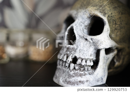 Close-up of a toothless skeleton model 129920753