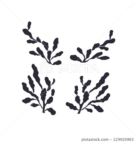 Monochrome black silhouette seaweed hand drawn vector illustration set 129920963