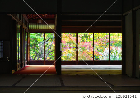 南禪寺的分寺天壽庵，紅葉美麗（京都府京都市東山區） 129921541