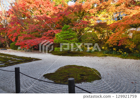 Tenjuan, a sub-temple of Nanzenji Temple, with beautiful autumn foliage (Higashiyama Ward, Kyoto City, Kyoto Prefecture) Tenjuan, a sub-temple of Nanzenji Temple, with beautiful autumn foliage (Higashiyama Ward, Kyoto City, Kyoto Prefecture) 129921759