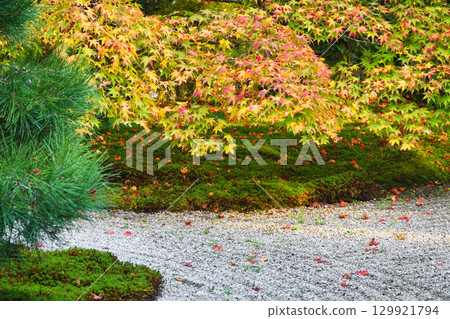 Tenjuan, a sub-temple of Nanzenji Temple, with beautiful autumn foliage (Higashiyama Ward, Kyoto City, Kyoto Prefecture) 129921794