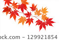 Illustration of a branch with autumn leaves isolated on a white background 129921854
