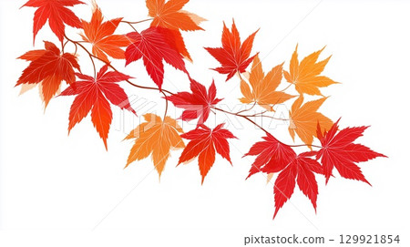 Illustration of a branch with autumn leaves isolated on a white background 129921854