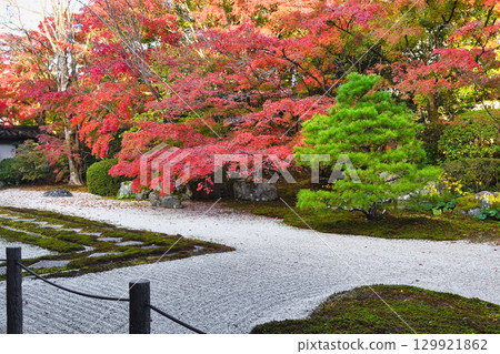 南禪寺的分寺天壽庵，紅葉美麗（京都府京都市東山區） 129921862