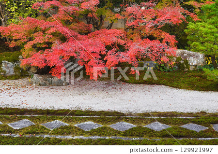 Tenjuan, a sub-temple of Nanzenji Temple, with beautiful autumn foliage (Higashiyama Ward, Kyoto City, Kyoto Prefecture) 129921997